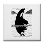 Killer Whale Pen and Ink Tile/Coaster by NANCE